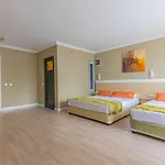 Отель Akdora Elite & 4*